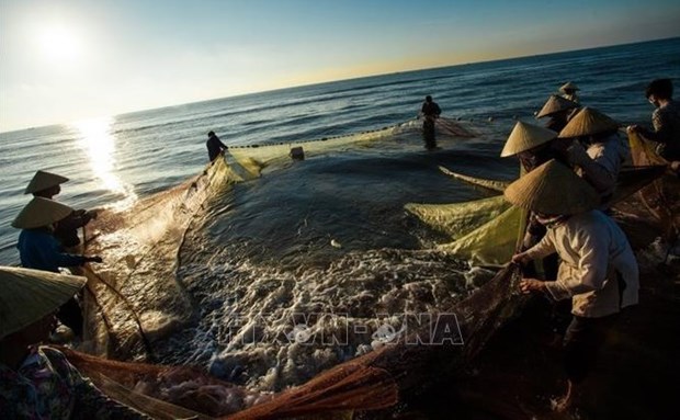 Greater efforts to fight IUU fishing towards sustainable fisheries hinh anh 1