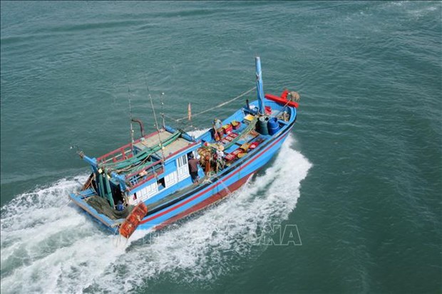 Localities enhance offshore fishing capacity hinh anh 1