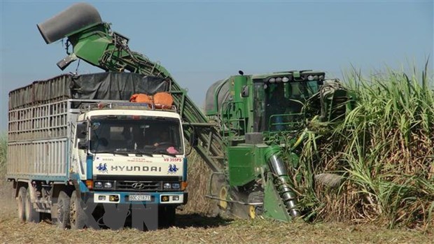 Anti-dumping investigation into cane sugar extended hinh anh 1