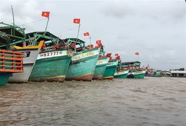 Ca Mau monitors fishing vessels going through estuaries hinh anh 1
