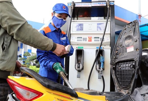 Petrol prices down by 600 VND per litres after seven hikes hinh anh 1