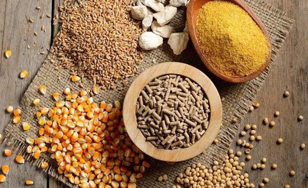 Over 9 bln USD spent on import of animal feed raw materials hinh anh 1