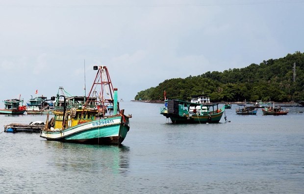 Ocean accounts needed to serve sustainable maritime economic development in Vietnam hinh anh 2