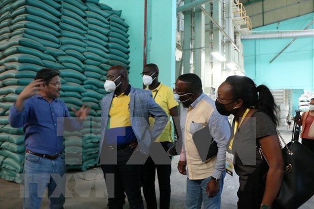 Gabonese trade minister explores rice production in Long An hinh anh 1
