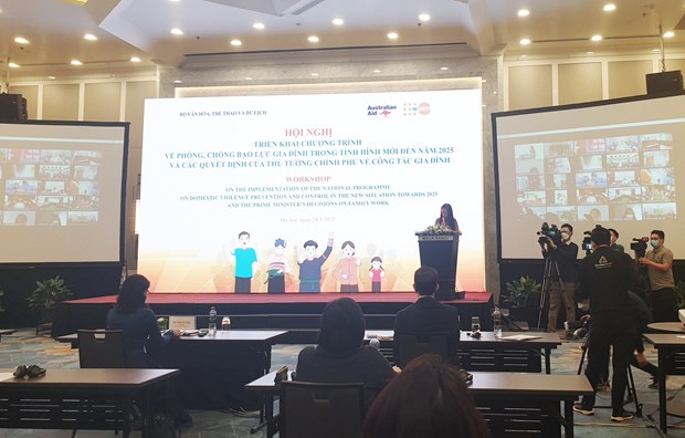 Vietnam resolved to tackle domestic violence: Workshop hinh anh 1