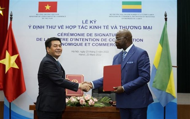 Vietnam and Gabon seek to strengthen their economic and trade ties hinh anh 2
