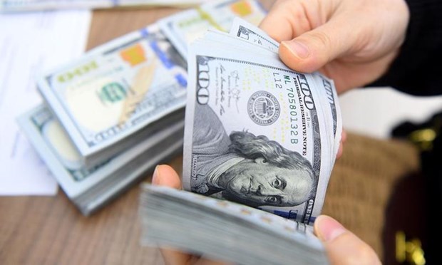 Vietnam's forex reserves projected to keep rising hinh anh 1