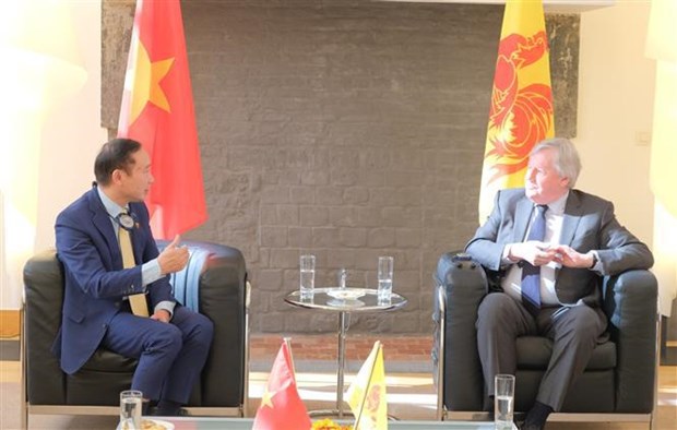 Vietnam seeks stronger relations with parliament of Belgium region hinh anh 1
