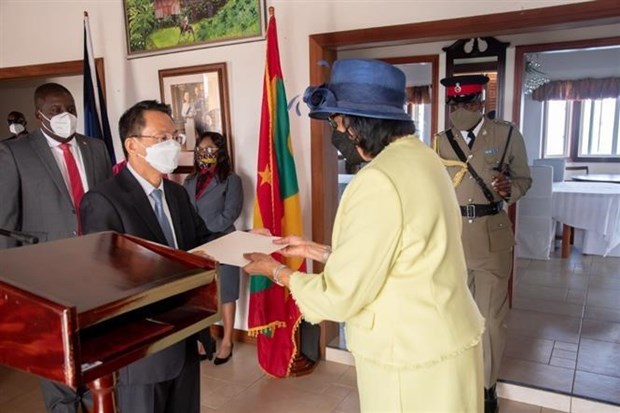 Vietnam attaches importance to cooperation with Grenada: Ambassador hinh anh 1