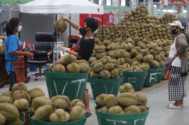 Thailand targets 8.53 billion USD in fruit exports in 2022 hinh anh 1