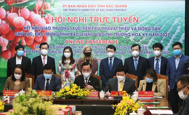 Bac Giang province moves to boost lychee export to US hinh anh 1