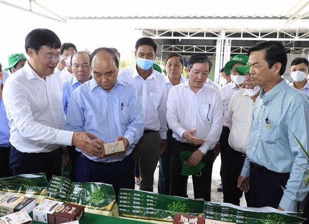 President asks Dong Thap to step up scientific-technological application in collective economy hinh anh 1