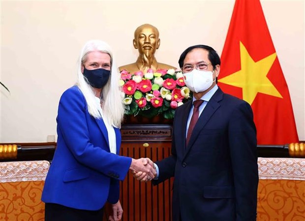 Foreign Minister meets with visiting British Minister of State for Asia hinh anh 1
