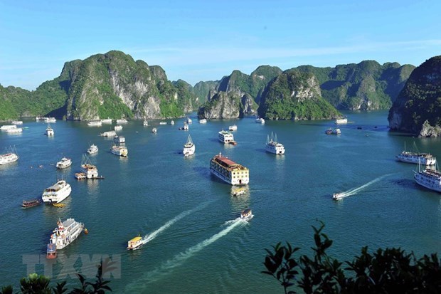 Ha Long introduces new marine tourism products hinh anh 1
