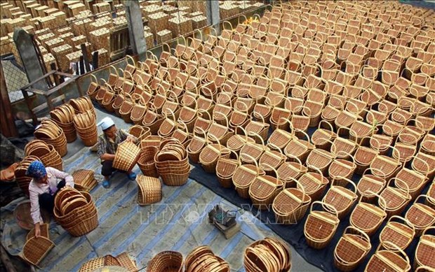 Agro-forestry-fisheries exports triple in Q1 hinh anh 2