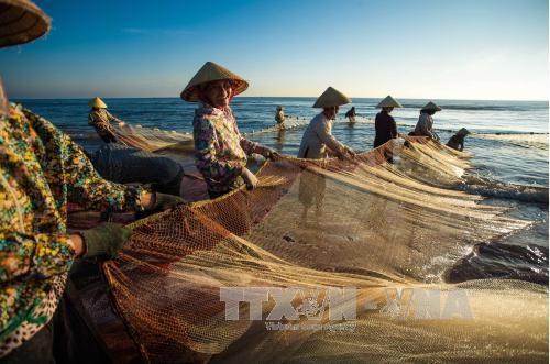 Binh Thuan striving to develop fisheries sustainably hinh anh 3
