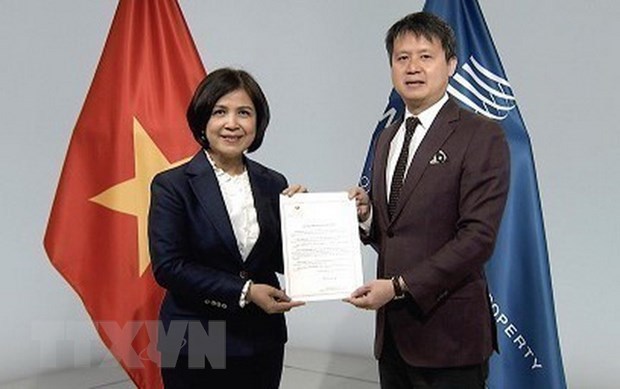 Vietnam joins WIPO Performances and Phonograms Treaty hinh anh 1