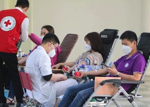 Festival held in response to blood donation day hinh anh 1