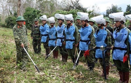 Vietnam shares experience in post-war landmine clearing hinh anh 1