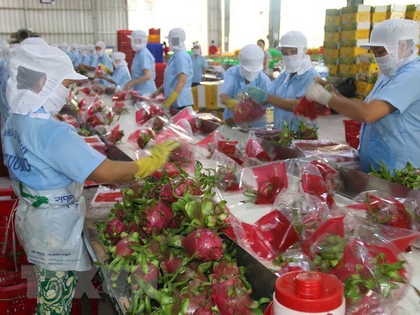 Tien Giang’s export turnover up 17.5 percent in Q1 hinh anh 1
