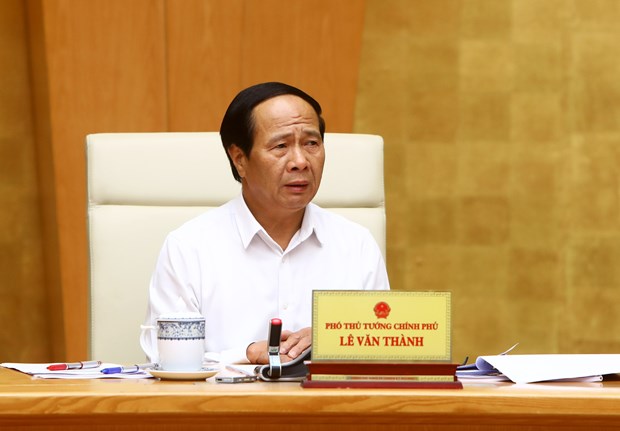 Long Thanh Airport must be opened by 2025: Deputy PM hinh anh 1