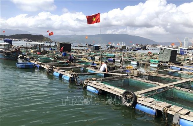 Ba Ria – Vung Tau develops hi-tech aquaculture hinh anh 2