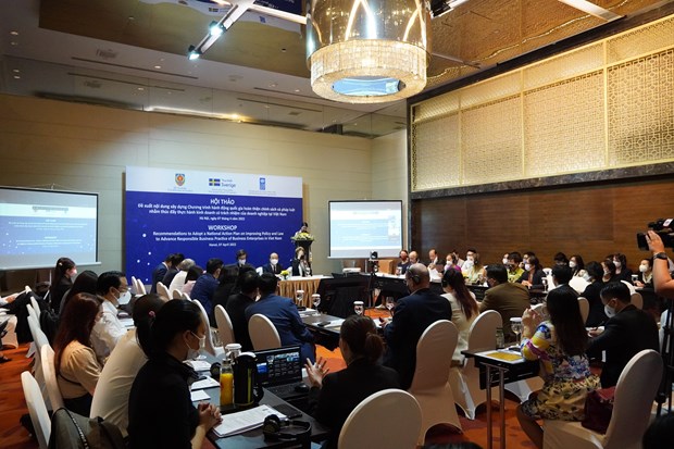 Vietnam needs national action plan to promote responsible business practices: workshop hinh anh 2