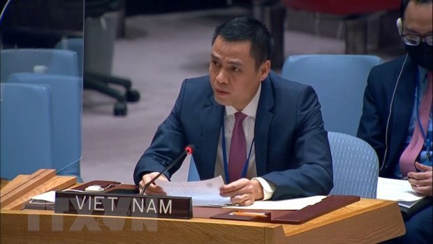 Vietnam ready to make substantive contributions to UN development forums: Ambassador hinh anh 1