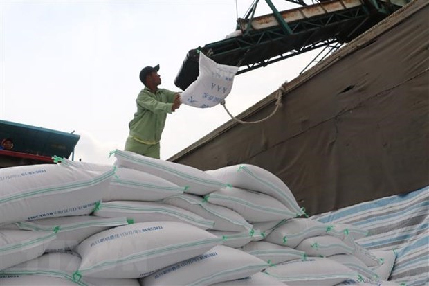Vietnam’s rice export turnover up 10.5 percent in Q1 hinh anh 1