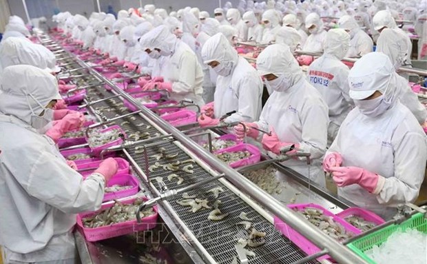 Shrimp exports predicted to sustain growth in April hinh anh 1