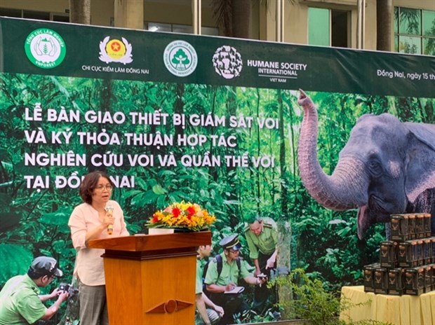 Dong Nai forest rangers supported in elephant protection hinh anh 1