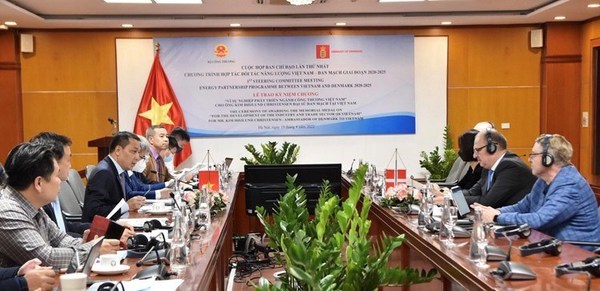 Vietnam, Denmark promote energy partnership hinh anh 2
