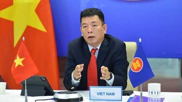 Vietnam urges ASEAN to early operate ASEAN portal for digital vaccination certification hinh anh 1