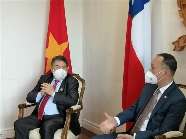 Vietnam seeks strong relations with Chilean region hinh anh 1