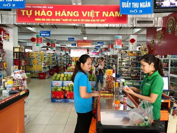 Vietnam should prioritise domestic market: experts hinh anh 1