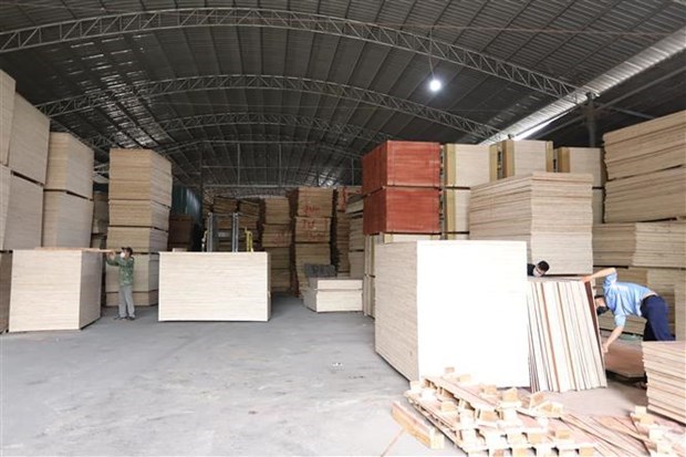 Domestic timber key to a sustainable industry hinh anh 1