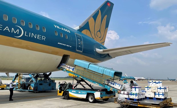Vietnam's air freight industry accelerates despite COVID-19: Nikkei Daily hinh anh 1