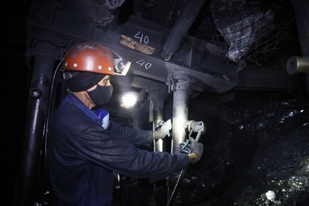 Coal miners expect good year on higher demand, rising prices hinh anh 1
