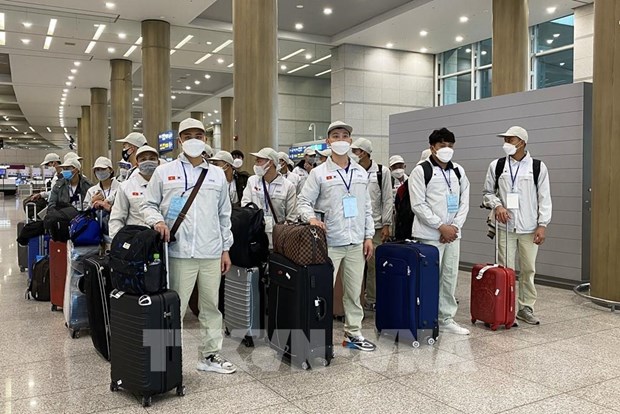 RoK reopens channel to receive seasonal workers from Vietnam hinh anh 1