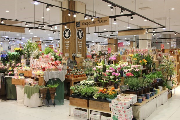 Vietnam’s flowers gain foothold in Japanese market hinh anh 1