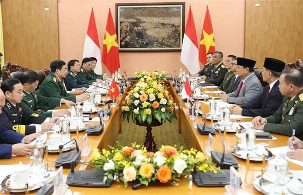 Vietnam, Indonesia agree to advance defence ties hinh anh 2
