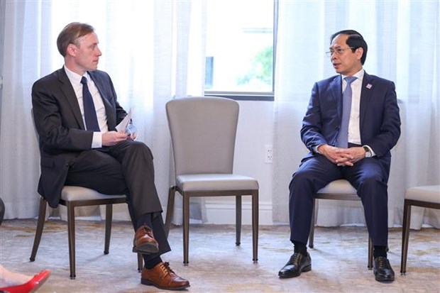 Foreign Minister Bui Thanh Son meets US counterpart, National Security Advisor in Washington hinh anh 2