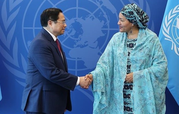 Vietnam to play more active role at UN: PM hinh anh 1