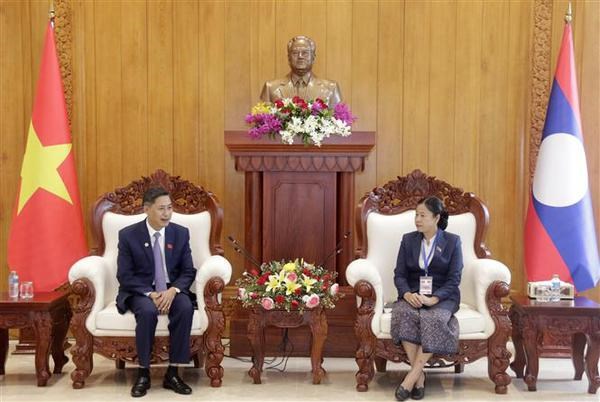 Vietnamese, Lao localities beef up partnerships hinh anh 3