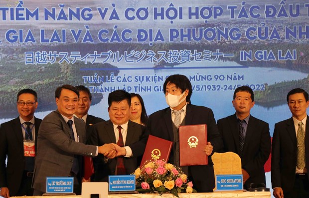Gia Lai seeks partnerships with Japan in agriculture, renewable energy, tourism hinh anh 1