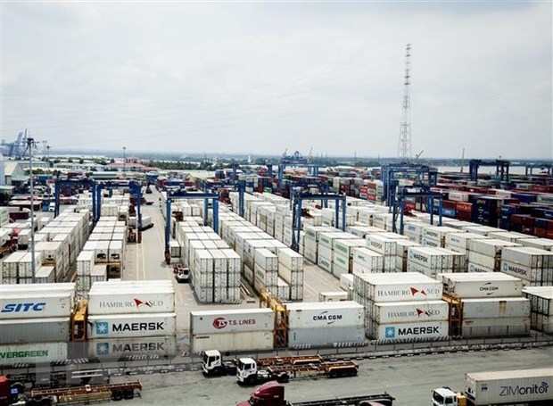 Cargo throughput via seaports sees modest growth hinh anh 1