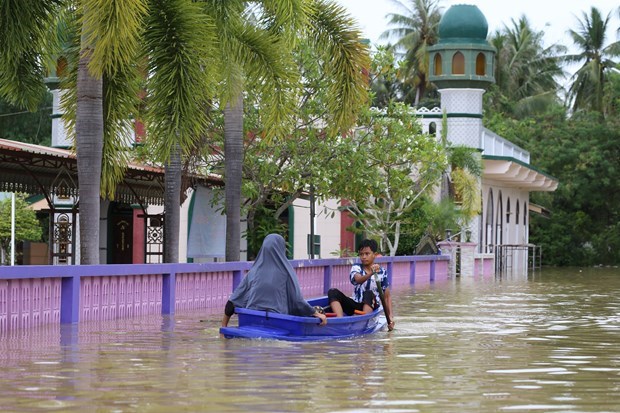 ASEAN strengthens resilience to disasters hinh anh 1