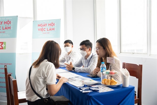 France-Vietnam job fair held in Hanoi, HCM City hinh anh 1