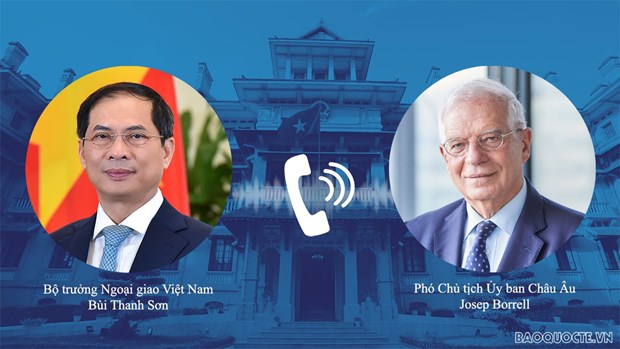 Foreign Minister holds phone talks with EC, Hungarian officials hinh anh 1