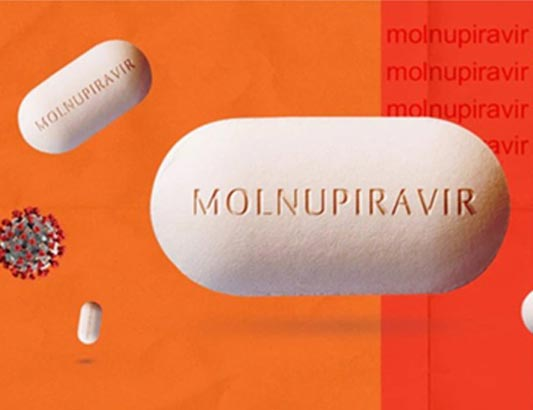 Another molnupiravir drug authorised for use in COVID-19 treatment hinh anh 1